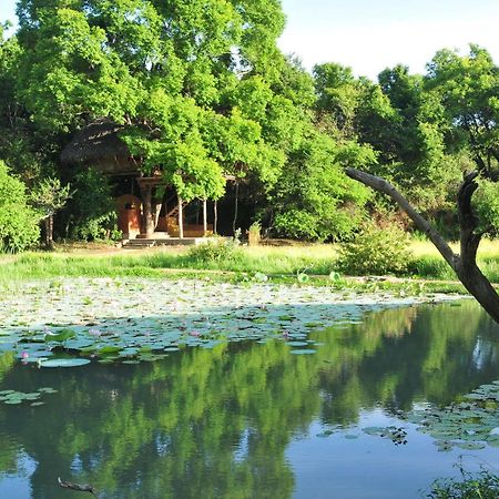 Back Of Beyond - Wild Haven Βίλα Σιγκιρίγια Εξωτερικό φωτογραφία